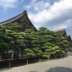 Meet your Posher, Irish